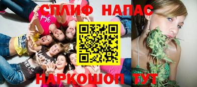 индика Будённовск