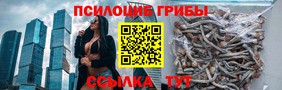 Псилоцибиновые грибы Magic Shrooms  Вход с VPN  Ступино  Галлюциногенные грибы MAGIC MUSHROOMS 