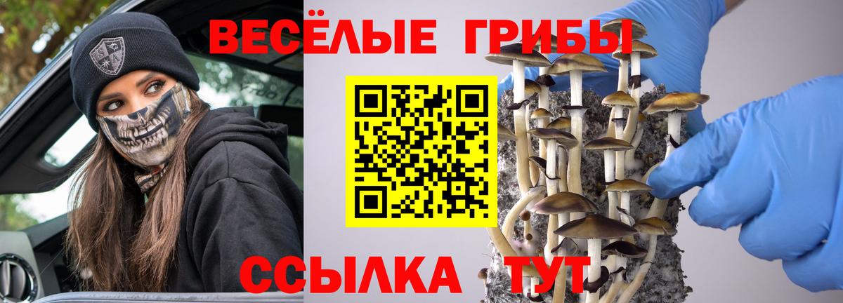 Галлюциногенные грибы Cubensis Ступино